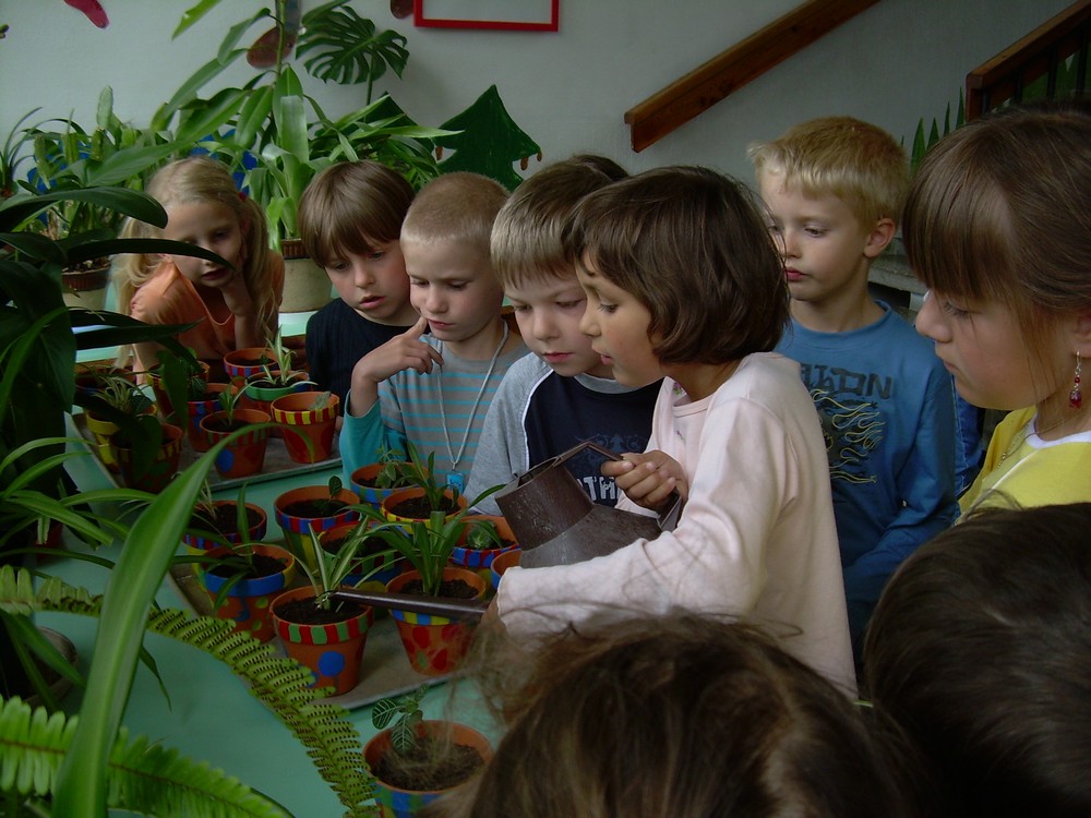 Sázíme květinu 07.jpg